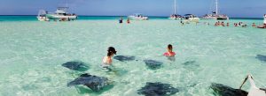 Read more about the article Grand Cayman