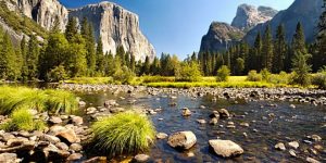 Read more about the article America’s Top National Park