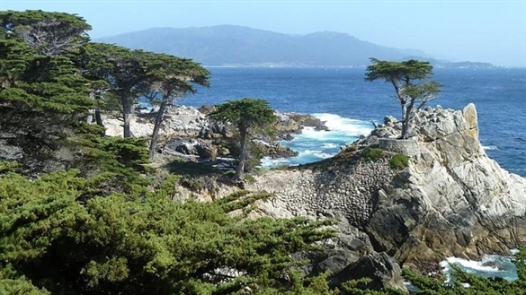 view_from_17-mile_drive