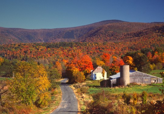 Berkshires-540x376