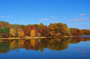 Read more about the article New England Fall Foliage State by State Guruescape.com