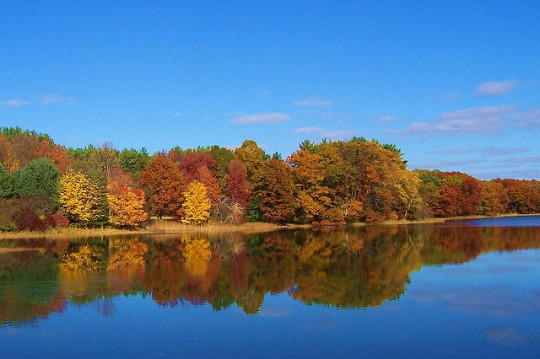 You are currently viewing New England Fall Foliage State by State Guruescape.com