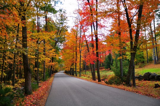 New-Hampshire-fall-foliage-540x358