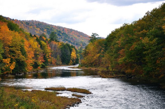 Vermont-fall-foliage-540x358