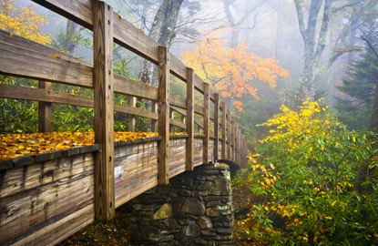 blue-ridge-parkway Fall Foliage