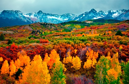 colorado fall foliage