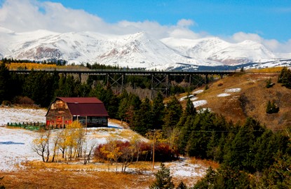 montana Fall Foliage