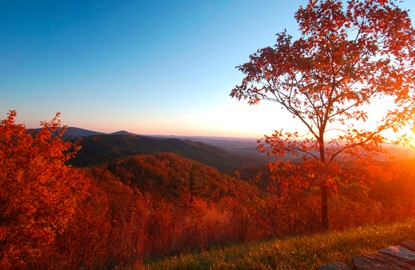 virginia Fall Foliage