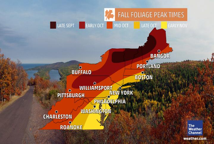 NorthEast Fall Fall Foliage